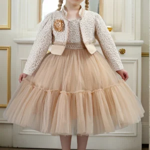 Girls Dress Set, Cute Princess Dresses and Coat Outfits 2-8 Year